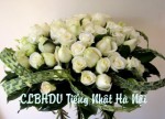 CLB kính viếng hương hồn Bác