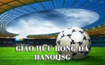 Giải bóng đá HANOIJSG OPEN 2015 từ 7-14/7/2015