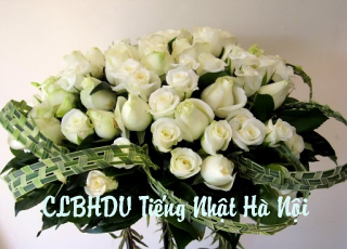 Ban lãnh đạo CLB HDV Tiếng Nhật Hà Nội vô cùng thương tiếc báo tin 17/11/2013